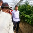 청마농장 이미지