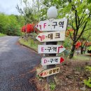 사천리 오토캠핌장1 | 아이들이 놀기 좋은 포천 풍혈산 캠핑장 세미글램핑 후기