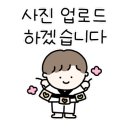 스카이 태권도 이미지