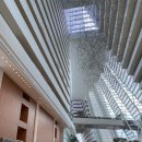 웅둥 | 싱가포르 여행 part 3-1 [대만족 마리나베이샌즈 44층 씨티뷰 숙박 후기 + 인피니티풀 낮 그리고 밤 수영]