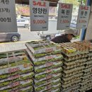 우성축산물센터 - 안산시 상록구 반석로 68 | 우성축산물센터