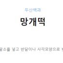 떡꽃닮