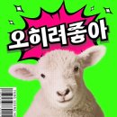 하모니 동물병원 | 고양이가 있는 좋느 카페... 시골코어 / + 향수 골라주세요...