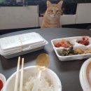 이도튀김분식 이미지