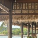 바탐] 라노섬 프라이빗 투어 후기 및 예약 방법 | 루피아 결제, 호텔 픽업, 바나나보트 스노쿨링 (feat...