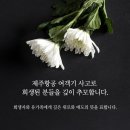 제주항공 여객기 사고로 희생된 분들을 깊이 추모합니다. 희생자와 유가족에게 깊은 위로와 애도의 뜻을 표합니다. 이미지