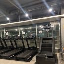 골든 피티 이미지