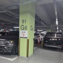 다온케이 | 2026 대전 케이펫페어 후기 | 예민한 강아지는 7분 컷 (실화)