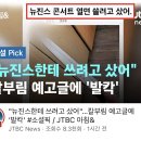 뉴진스 협박범 아침뉴스 나왔네 이미지