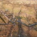 기우농장 이미지