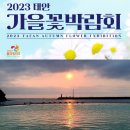 안면도 가을꽃 축제 &amp; 보령 상화원 10월 15일(일) 이미지