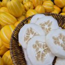 한진1농장 이미지