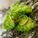 베트남국제결혼스토리 이미지