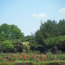 장미공원C 이미지