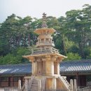 스테이알리 이미지