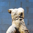 이리스(IRIS) 이미지