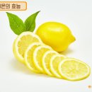 경희레몬 한의원 이미지