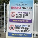 샬롬농원 | 2024 고양국제꽃박람회 주말 관람 후기(입장료, 할인, 주차 정보)