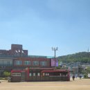 [경기도/수원] 수원 가볼만한 곳 수원 화성행궁/미로한정 정원산책(수원당일치기 코스1)