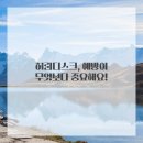 씨유 성남제일초점 | 허리디스크, 이거 모르고 넘어가면 후회해요! 성남한의원 솔직 후기