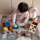 아람세탁 | 베이비올 아기 교구 5종 리뉴얼 구성 14개월 활용 후기
