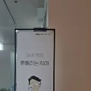 라온기획 - 영암군 | 라온기획