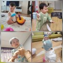 건호목장 이미지