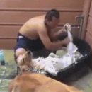 개운하개 이미지