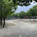 느티나무골펜션 이미지