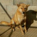 보화1로1 이미지