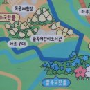 해뜨는 숲속 | 진주 수국 명소 월아산 숲속의 진주 2026수국축제 후기 &amp;포토존