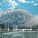 식물원옆카페 이미지