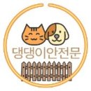 호빵펫살롱 이미지