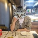 더리치식당 이미지