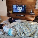 봉수산숲카페