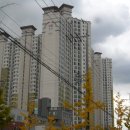 포항시남구55 이미지