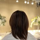 부천중학교 | 부천 부천역 미용실 오티움에이전시 중단발 허쉬컷 후 초코브라운 염색 수연원장 후기