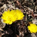 금산펜션 이미지