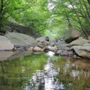 대천공원4호 이미지