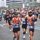 동아세탁 | 서울 동아마라톤 풀코스 완주 후기 (2026년)