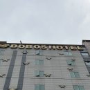 보보스호텔 네이버블로그