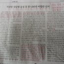 조선일보 박정훈 칼럼 이미지