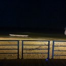 다로산 스파펜션 이미지