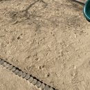 은빛어린이공원 이미지