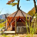 보은글램핑 이미지