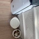 케어마루펫 | 실시간 바디캠 케어 가능한 펫시터 어플 ‘와요’ 솔직 후기