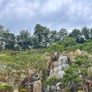 피나클랜드 이미지