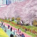 큰집 돼지국밥보쌈 이미지