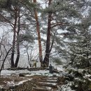 지당농장 이미지