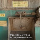 기계한우농장 이미지